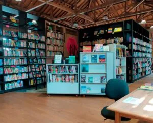 Biblioteca Aranjuez Comfama 17